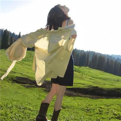 沙鹰行动