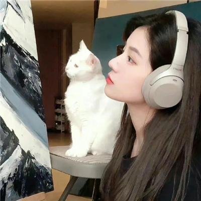 天 天和街浪子
